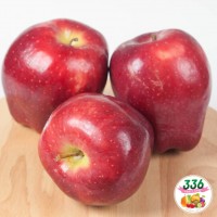 Red Delicious Apple