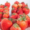 strawberry Korea