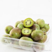 Kiwi Berry